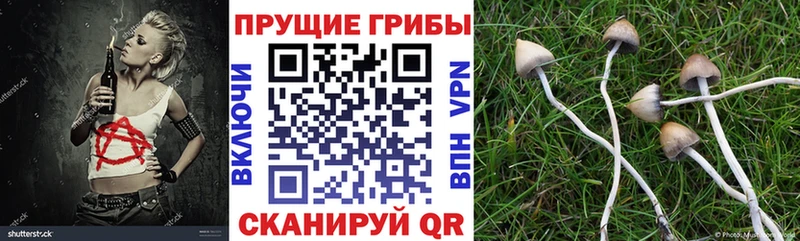Галлюциногенные грибы ЛСД  Купить  Райчихинск 
